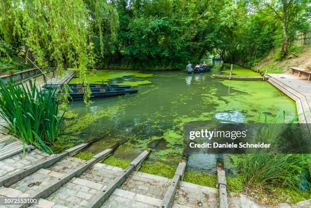 france, deux sevres, punts over the canals of the marais poitevin - kroos stockfoto's en -beelden