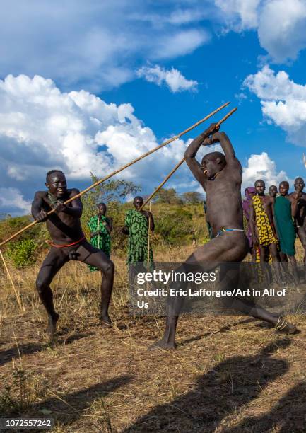 Intonga Donga Stick Fighting Ritual Photos and Premium High Res Pictures ...