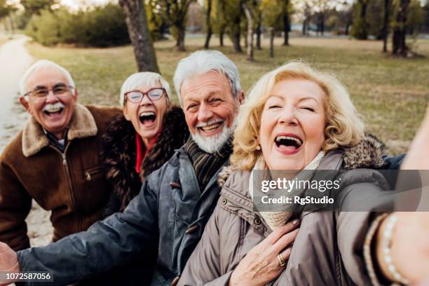 senior couples laughing on a bench in a park - group of seniors stock pictures, royalty-free photos & images