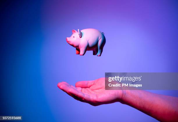 piggy bank hovering over hand - loan concept stock pictures, royalty-free photos & images