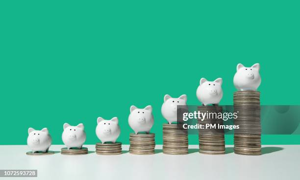 little piggy banks on ascending stacks of coins - hucha cerdito fotografías e imágenes de stock