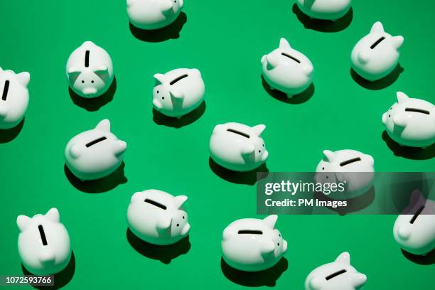 random little white piggy banks - savings stockfoto's en -beelden