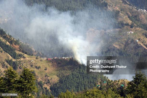 forest fire on mountains. - towering inferno stock pictures, royalty-free photos & images