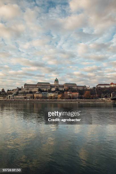 the buda castle - budapest - hungary - queen of hungary stock pictures, royalty-free photos & images