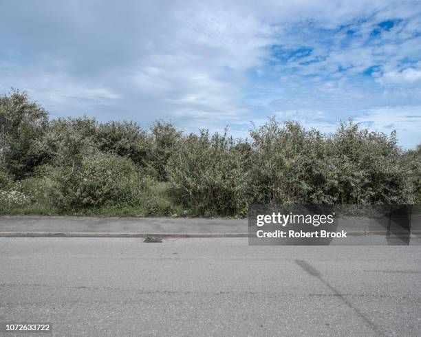 roadside - borde de la carretera fotografías e imágenes de stock
