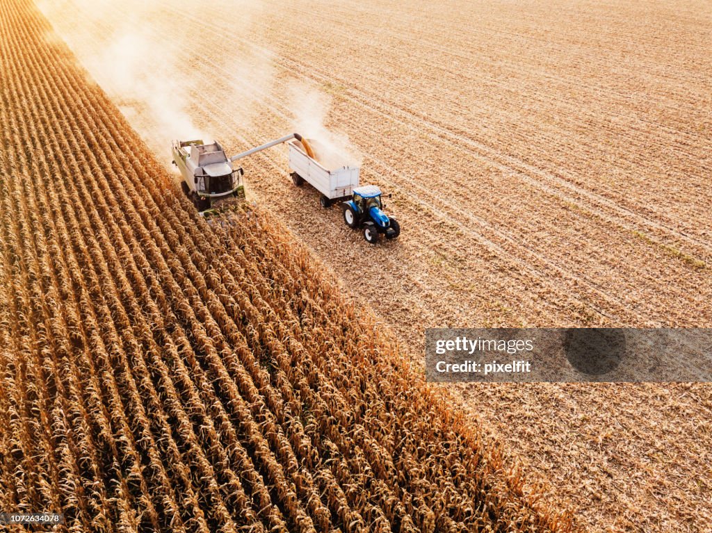 Trabajo estacional en el campo