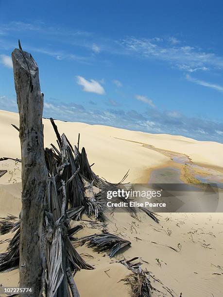 sand dune, cabure - cabure stock pictures, royalty-free photos & images