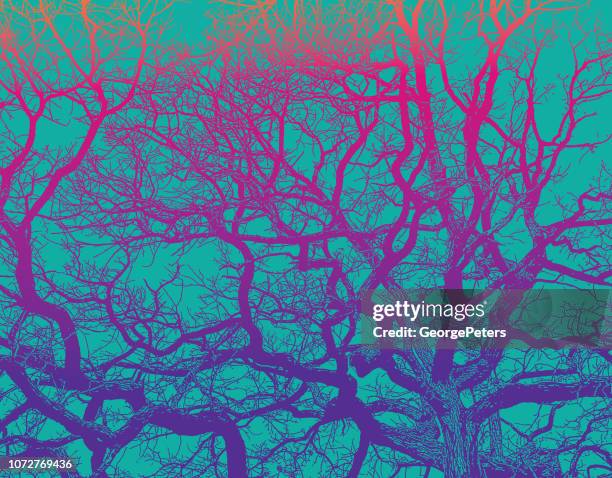 stockillustraties, clipart, cartoons en iconen met eiken boom en takken met levendige kleuren - psychedelisch
