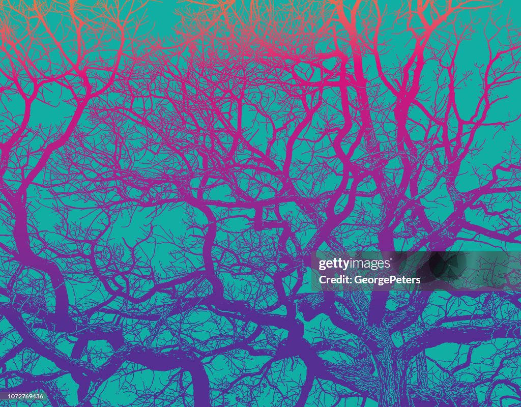 Oak Tree and branches with vibrant colors