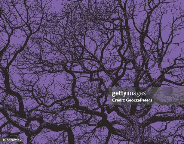 oak tree and branches with vibrant colors - tangled branches stock illustrations
