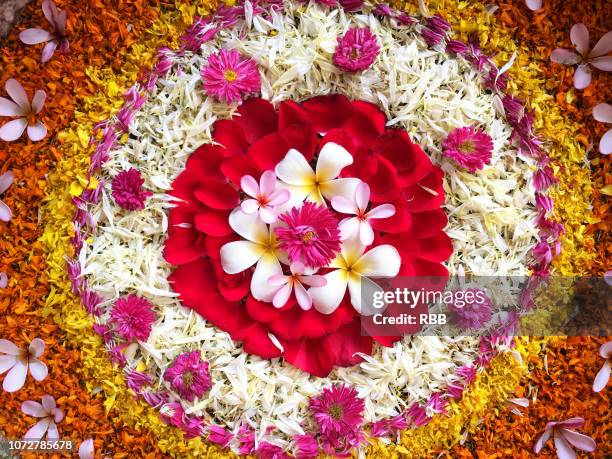 close up of flower rangoli - kolam stockfoto's en -beelden