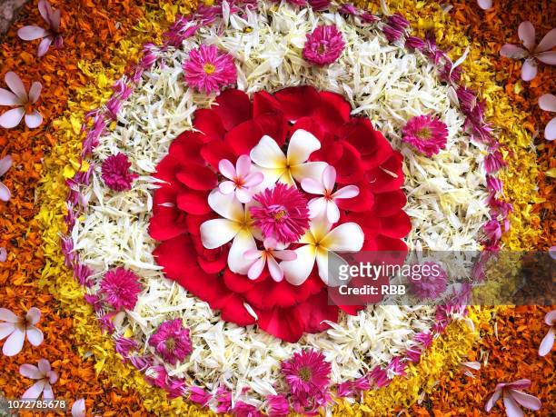 close up of flower rangoli - rangoli stock pictures, royalty-free photos & images