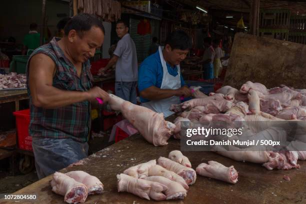 __pork's pedicure__ - hutterite stock-fotos und bilder