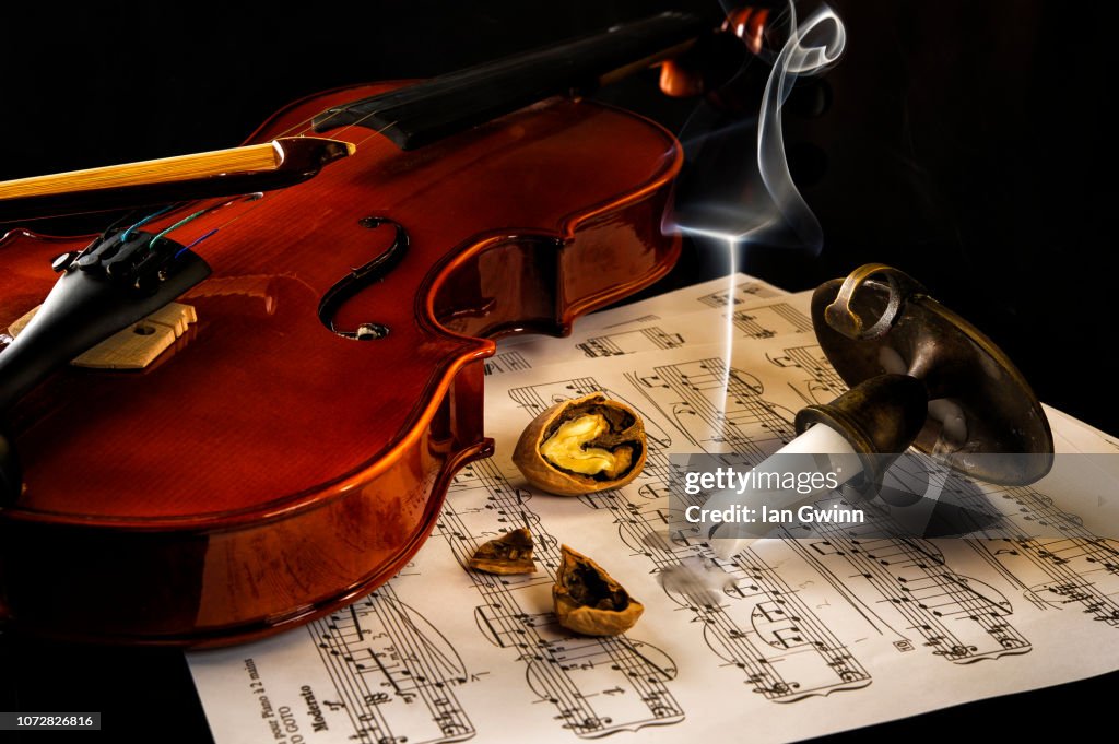 Violin Vanitas