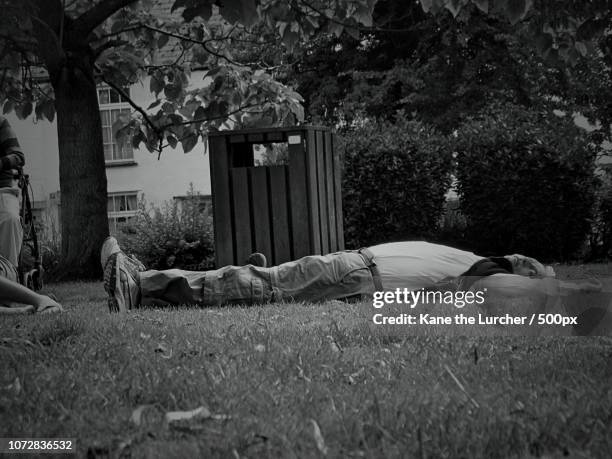 16-08-15 - plumb tuckered out - chepstow - tuckered out stock pictures, royalty-free photos & images