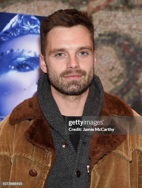 Sebastian Stan attends the "Vox Lux" New York Screening at the Whitby Hotel on December 13, 2018 in New York City.
