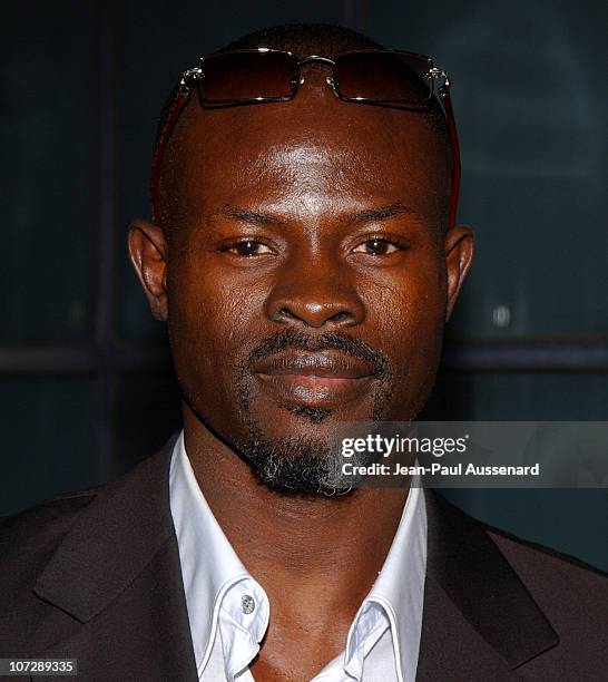 Djimon Hounsou during VLIFE and Hermes Host the 1st Annual Oscar Contenders Party in Partnership with Aston Martin and Absolut at Hermes Boutique in...