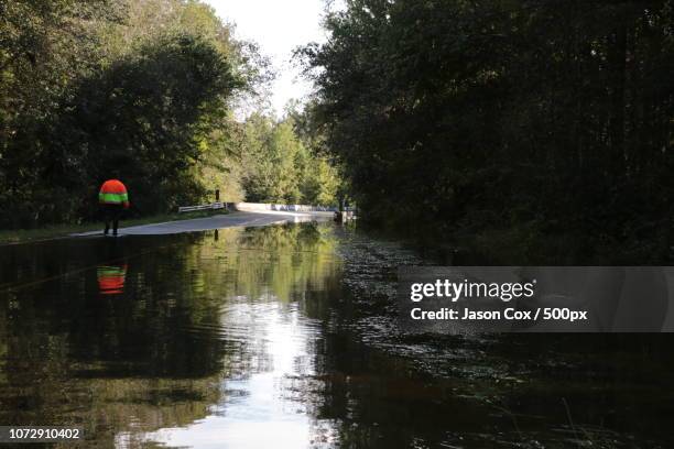 Lynches River Photos and Premium High Res Pictures Getty Images