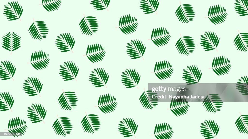 Rain forest palm tree leaves abstract pattern, Tropical Leaf