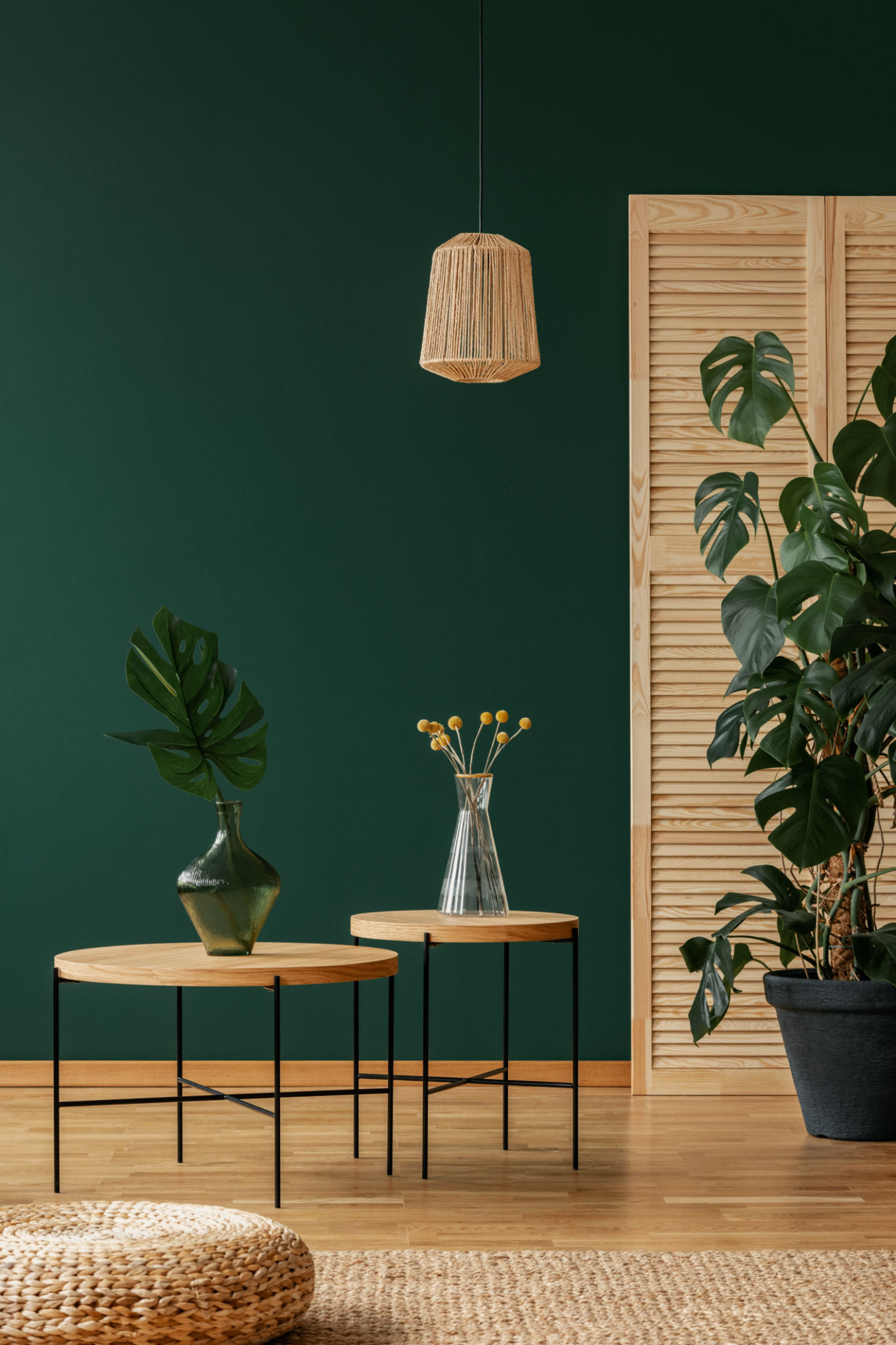 nature inspired interior