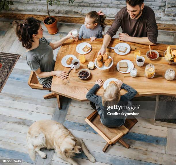 vue de famille heureuse de parler pendant le petit déjeuner à la table à manger. - dog eats out girl photos et images de collection