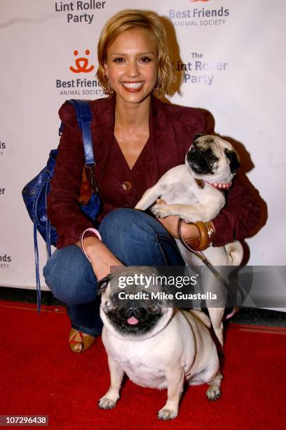 Jessica Alba during The 2005 Annual Lint Roller Party Benefiting Los Angeles Animals - Arrivals and Event at Hollywood Roosevelt Hotel in Hollywood,...