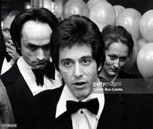 Al Pacino and Marthe Keller during Actors Studio's 75th Birthday Party For Lee Strasberg at Pierre Hotel in New York City, New York, United States.