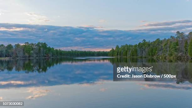 piney lake - piney lake stock pictures, royalty-free photos & images