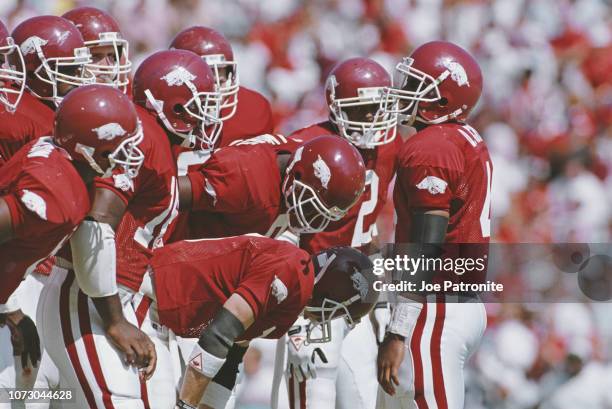 Quinn Grovey, Quarterback for the University of Arkansas Razorbacks in the huddle with his offensive line during the NCAA Southwest Conference...