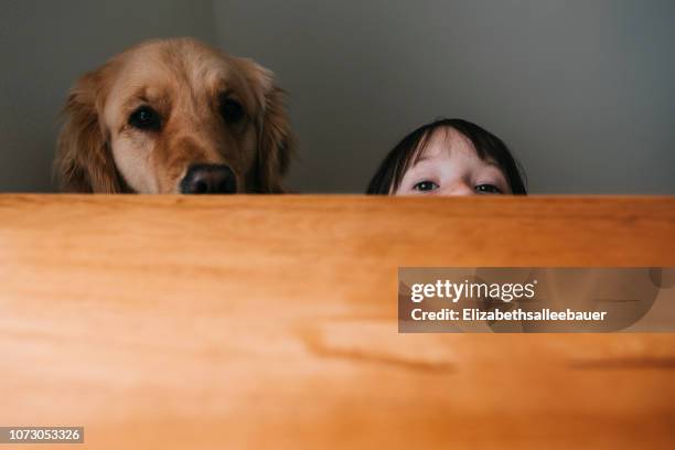 girl hiding behind a table with her dog - peeking stock pictures, royalty-free photos & images