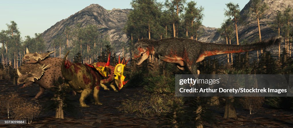 A Daspletosaurus approaches a small group of Rubeosaurus dinosaurs.