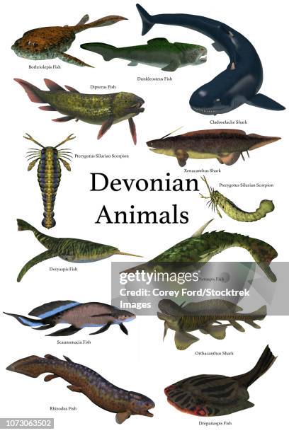 poster of prehistoric animals during the devonian period. - allosaurus stock illustrations