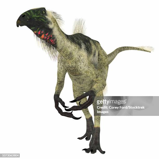 stockillustraties, clipart, cartoons en iconen met beipiaosaurus dinosaur, front view. - therizinosaurus