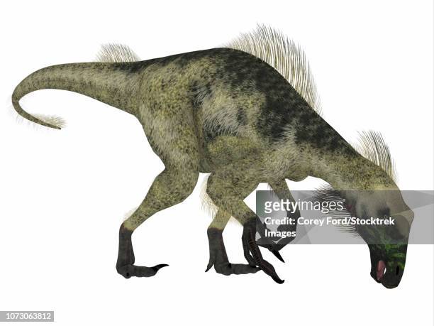 beipiaosaurus dinosaur, side profile. - therizinosaurus stock illustrations