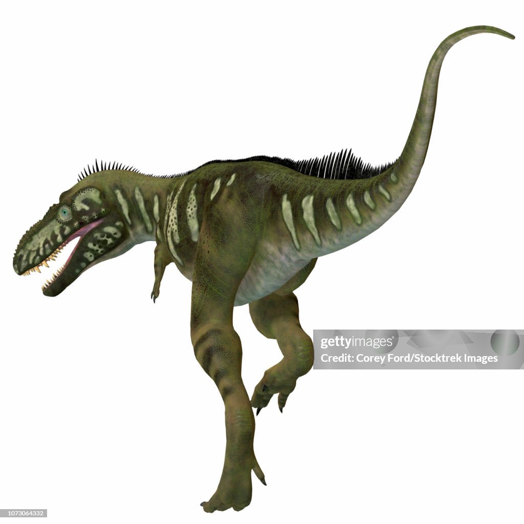 Bistahieversor dinosaur, rear view.