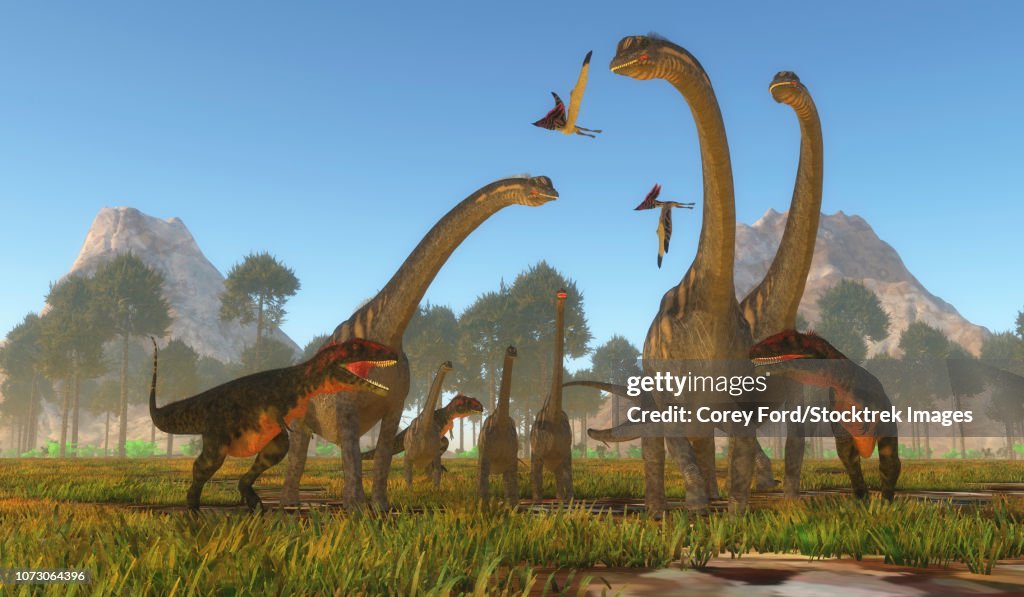 Three Predatory Mapusaurus Dinosaurs Surround A Herd Of Sauroposeidon ...