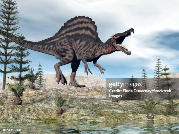 spinosaurus dinosaur in the desert amongst cycad and calamite plants. - calamite stock illustrations