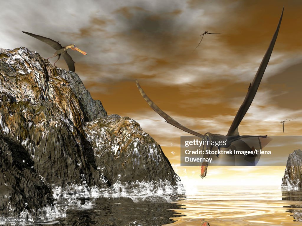 Anhanguera prehistoric birds fishing on the shoreline.