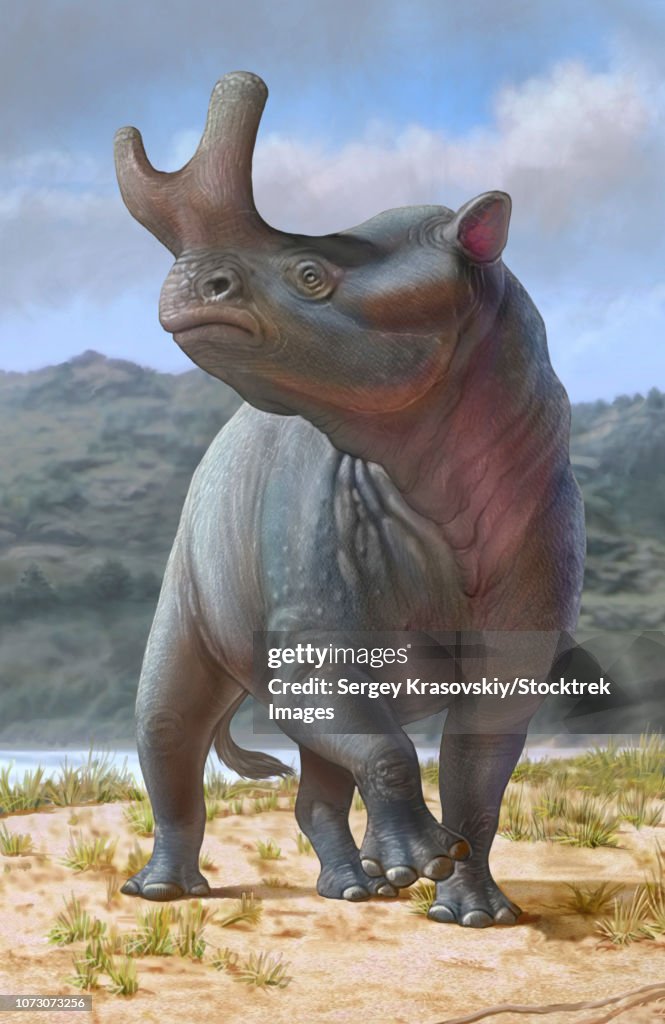A large male Brontotherium is looking for his herd.