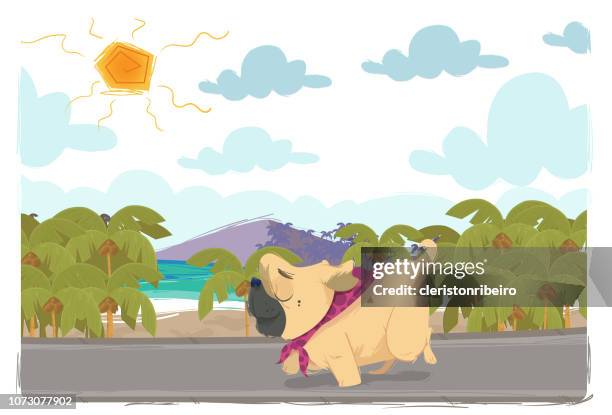 strolling on the beach (dog) - couple walking on beach stock illustrations