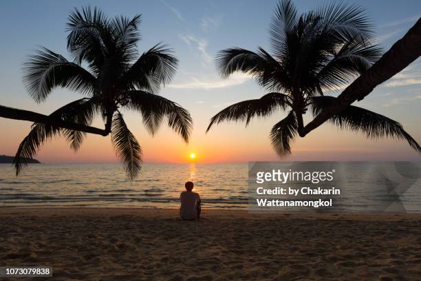 ko kut (koh kood) island - a man sitting relaxedly on the beach at sunset with two coconut palm tree leaning to the sea. - the castaway ストックフォトと画像