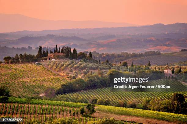 tuscan landscape and hills at sunset - feuerer stock-fotos und bilder