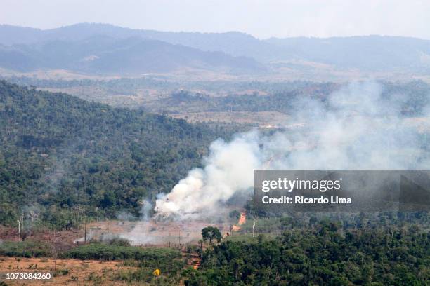 deforestation in amazon region - para state, brazil - amazon rainforest deforestation brazil stock pictures, royalty-free photos & images
