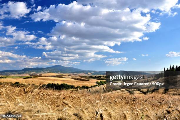 tuscan landscape,  italy - feuerer stock-fotos und bilder