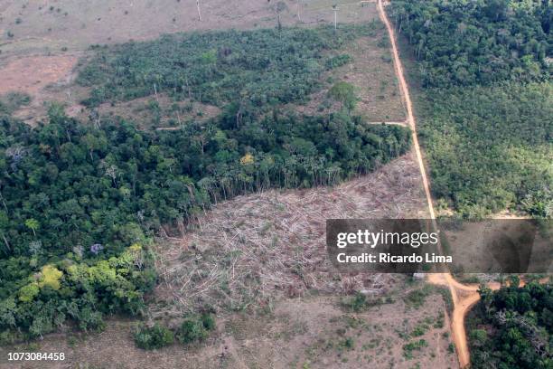 deforestation in amazon region - para state, brazil - amazon rainforest deforestation brazil stock pictures, royalty-free photos & images