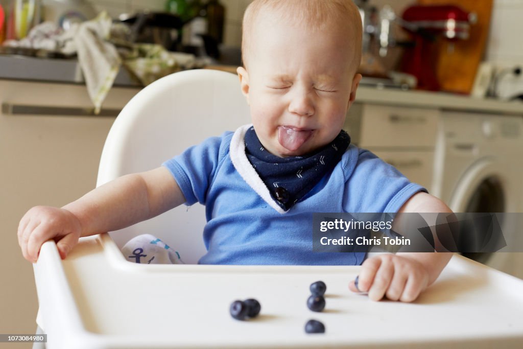 Baby sticking tongue out at blueberries on high chair