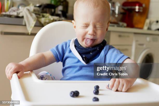 baby sticking tongue out at blueberries on high chair - 酸っぱい ストックフォトと画像