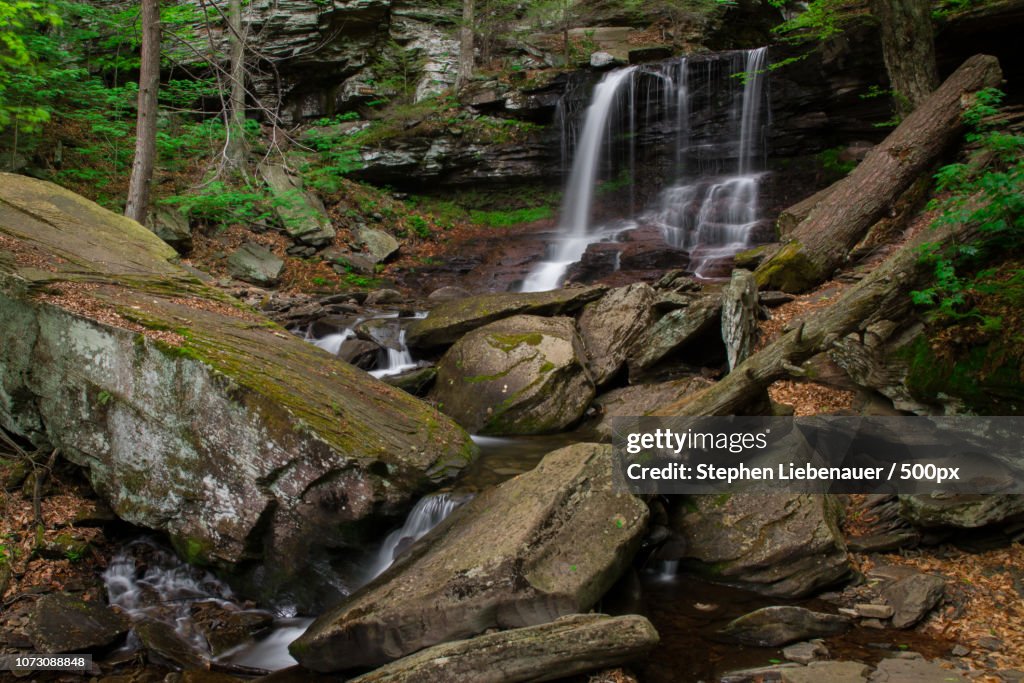 B Reynolds Falls