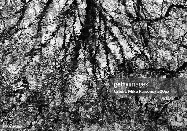 Segmented Background Photos and Premium High Res Pictures - Getty Images