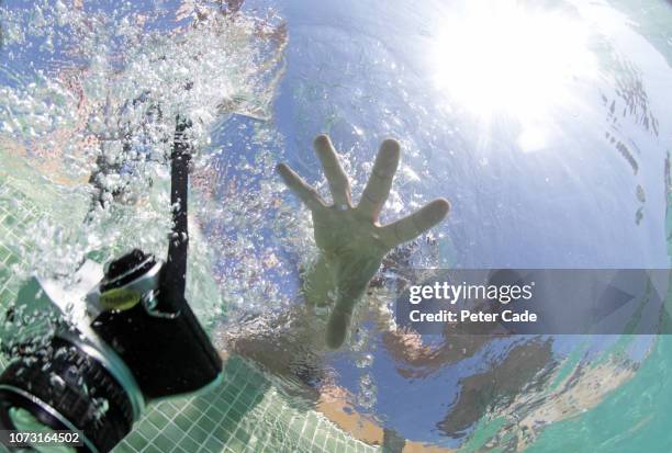 man dropping camera into swimming pool - wasserschaden stock-fotos und bilder